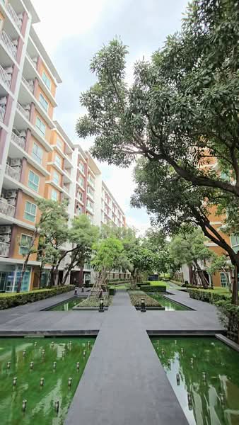 We Condo Ekkamai-Ramindra : วี คอนโด เอกมัย–รามอินทรา, กรุงเทพ, ถนนประดิษฐ์มนูธรรม, ท่าแร้ง, บางเขน, กรุงเทพ, 26 ตร.ม., คอนโด ขาย, โดย คุณเหมียว, 500354785 - DDproperty.com