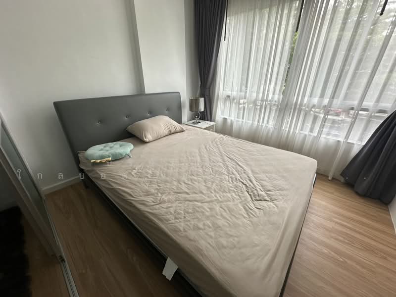 Dcondo Kathu-Patong, Phuket, Wichit Songkhram Road, Kathu, Phuket, 1 Bedroom, 30 sqm, Condo For Rent, by บริษัท ไพร์ม โกลบอล แอสเสท จำกัด, 500354788 - DDproperty.com