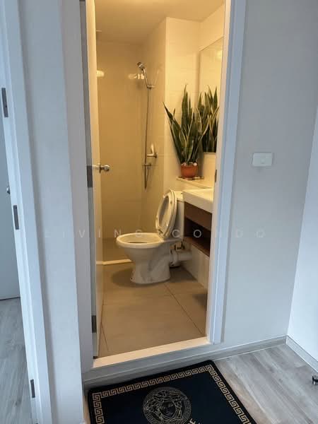 Plum Condo Ram 60 Interchange, Bangkok, Soi Ramkhamhaeng 60, Hua Mak, Bang Kapi, Bangkok, 2 Bedrooms, 39 sqm, Condo For Rent, by Living Condo, 500354797 - DDproperty.com