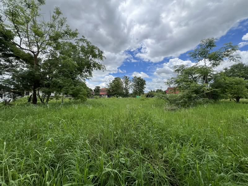 For Sale: Vacant Land in Talat Khwan, Doi Saket – 3 Ngan 83 Sq.wah (ID:280LS), Chiang Mai, Talat Kwan, Doi Saket, Chiang Mai, , 1,532 sqm, Land For Sale, by อรกัญญา สายวังกิจ, 500354804 - DDproperty.com