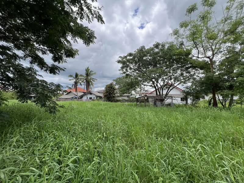 For Sale: Vacant Land in Talat Khwan, Doi Saket – 3 Ngan 83 Sq.wah (ID:280LS), Chiang Mai, Talat Kwan, Doi Saket, Chiang Mai, , 1,532 sqm, Land For Sale, by อรกัญญา สายวังกิจ, 500354804 - DDproperty.com