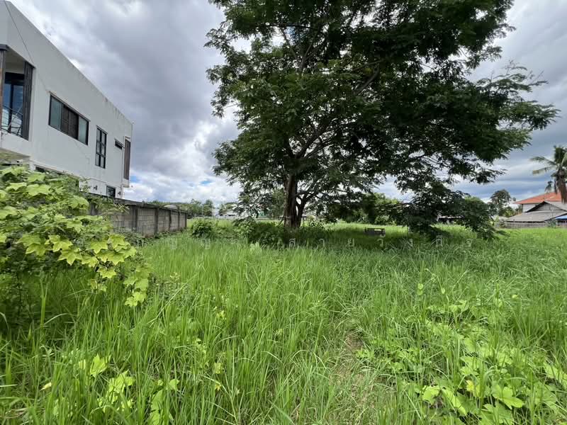 For Sale: Vacant Land in Talat Khwan, Doi Saket – 3 Ngan 83 Sq.wah (ID:280LS), Chiang Mai, Talat Kwan, Doi Saket, Chiang Mai, , 1,532 sqm, Land For Sale, by อรกัญญา สายวังกิจ, 500354804 - DDproperty.com