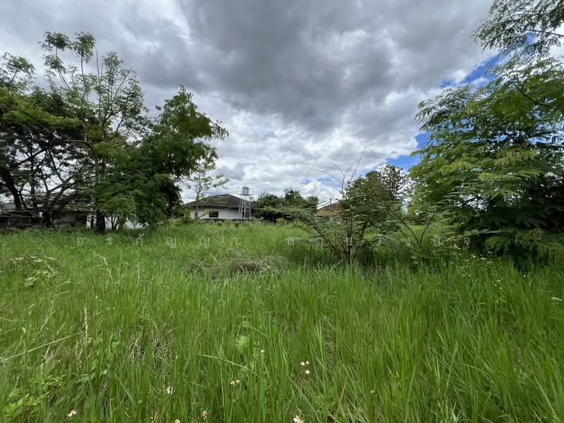 For Sale: Vacant Land in Talat Khwan, Doi Saket – 3 Ngan 83 Sq.wah (ID:280LS), Chiang Mai, Talat Kwan, Doi Saket, Chiang Mai, , 1,532 sqm, Land For Sale, by อรกัญญา สายวังกิจ, 500354804 - DDproperty.com