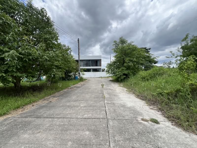 For Sale: Vacant Land in Talat Khwan, Doi Saket – 3 Ngan 83 Sq.wah (ID:280LS), Chiang Mai, Talat Kwan, Doi Saket, Chiang Mai, , 1,532 sqm, Land For Sale, by อรกัญญา สายวังกิจ, 500354804 - DDproperty.com