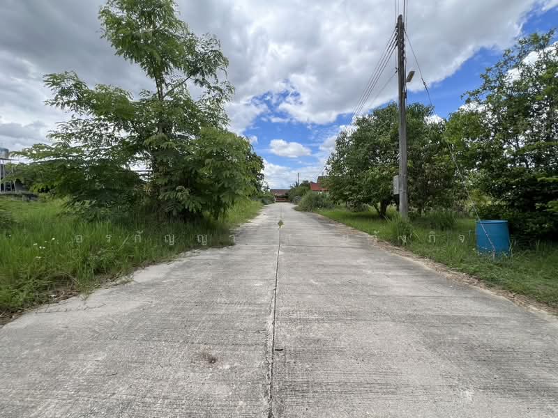 For Sale: Vacant Land in Talat Khwan, Doi Saket – 3 Ngan 83 Sq.wah (ID:280LS), Chiang Mai, Talat Kwan, Doi Saket, Chiang Mai, , 1,532 sqm, Land For Sale, by อรกัญญา สายวังกิจ, 500354804 - DDproperty.com