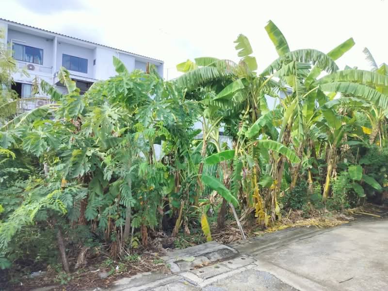 ซอยนวมินทร์ 85 ขนาด, Bangkok, Nawamin, Bueng Kum, Bangkok, , 1,632 sqm, Land For Sale, by Pimlada Lertritrungmanee, 500354805 - DDproperty.com
