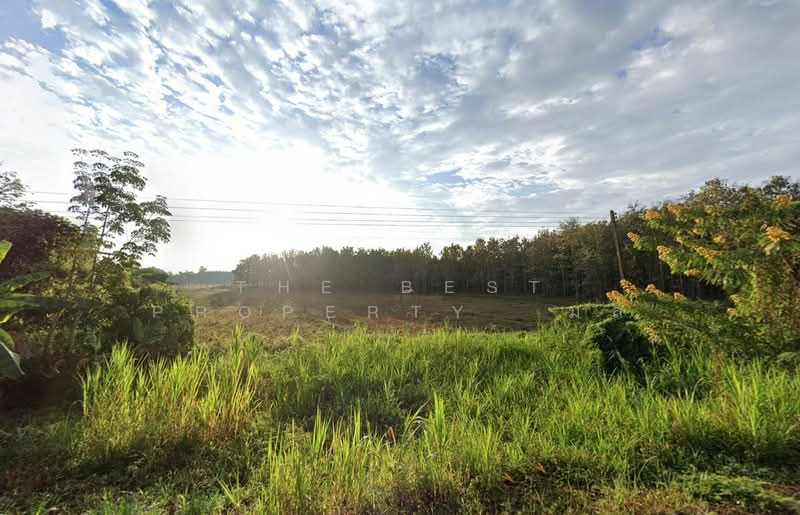 ที่ดินเชียงของ เชียงราย, Chiang Rai, Sathan, Chiang Khong, Chiang Rai, , 40,264 sqm, Land For Sale, by The Best Property มล, 500354826 - DDproperty.com