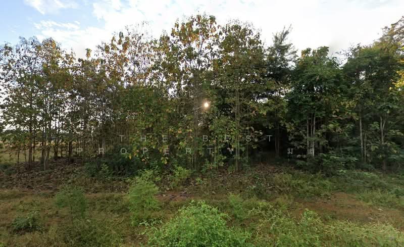 ที่ดินเชียงของ เชียงราย, Chiang Rai, Sathan, Chiang Khong, Chiang Rai, , 28,260 sqm, Land For Sale, by The Best Property มล, 500354834 - DDproperty.com