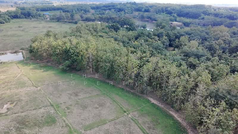ที่ดินเชียงของ เชียงราย, Chiang Rai, Sathan, Chiang Khong, Chiang Rai, , 28,260 sqm, Land For Sale, by The Best Property มล, 500354834 - DDproperty.com