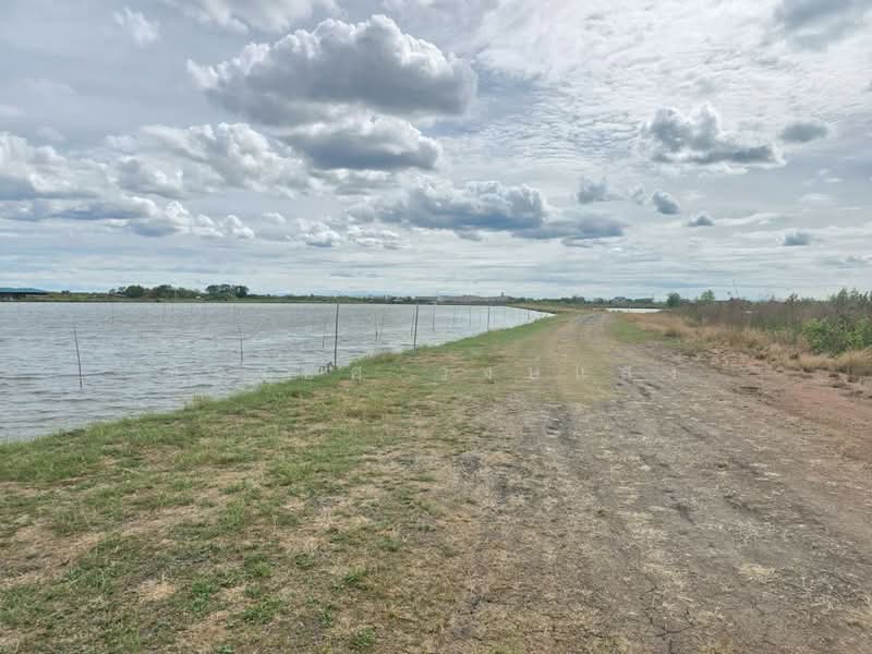 นาโคก, Samut Sakhon, Na Khok, Muang Samut Sakhon, Samut Sakhon, , 71,080 sqm, Land For Sale, by ขจรยศ วงษ์แสง, 500354853 - DDproperty.com