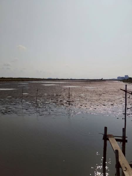 นาโคก, Samut Sakhon, Na Khok, Muang Samut Sakhon, Samut Sakhon, , 71,080 sqm, Land For Sale, by ขจรยศ วงษ์แสง, 500354853 - DDproperty.com