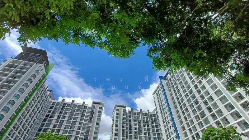 The Parkland Srinakarin : เดอะ พาร์คแลนด์ ศรีนครินทร์, สมุทรปราการ, 577 ตำบล สำโรงเหนือ, สำโรงเหนือ, เมืองสมุทรปราการ, สมุทรปราการ, 40 ตร.ม., คอนโด ให้เช่า, โดย นัทยาพร พึ่มกุล (เบนซ์), 500354896 - DDproperty.com