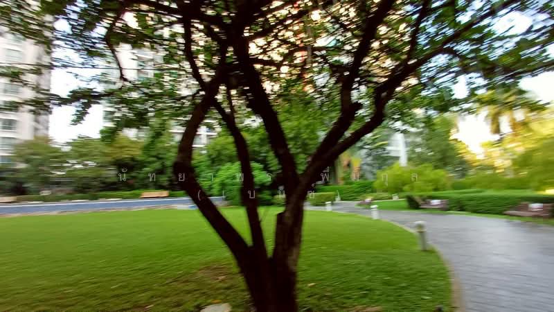 The Parkland Srinakarin : เดอะ พาร์คแลนด์ ศรีนครินทร์, สมุทรปราการ, 577 ตำบล สำโรงเหนือ, สำโรงเหนือ, เมืองสมุทรปราการ, สมุทรปราการ, 40 ตร.ม., คอนโด ให้เช่า, โดย นัทยาพร พึ่มกุล (เบนซ์), 500354896 - DDproperty.com