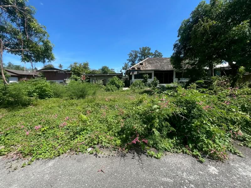หนองผึ้ง, Chiang Mai, Nong Phung, Saraphi, Chiang Mai, , 1,252 sqm, Land For Sale, by ขวัญฤดี รัตนชู, 500354905 - DDproperty.com