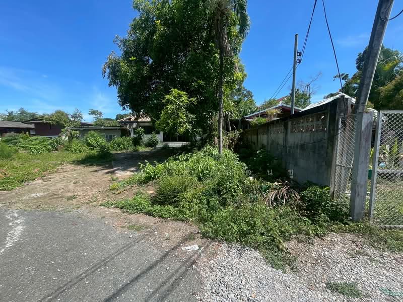 หนองผึ้ง, Chiang Mai, Nong Phung, Saraphi, Chiang Mai, , 1,252 sqm, Land For Sale, by ขวัญฤดี รัตนชู, 500354905 - DDproperty.com