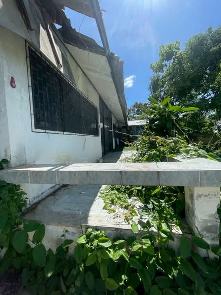 หนองผึ้ง, Chiang Mai, Nong Phung, Saraphi, Chiang Mai, , 1,252 sqm, Land For Sale, by ขวัญฤดี รัตนชู, 500354905 - DDproperty.com