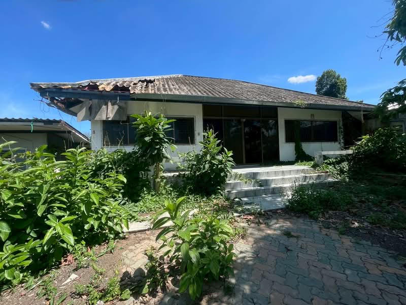 หนองผึ้ง, Chiang Mai, Nong Phung, Saraphi, Chiang Mai, , 1,252 sqm, Land For Sale, by ขวัญฤดี รัตนชู, 500354905 - DDproperty.com