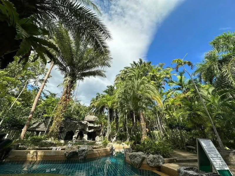 Resort for sale, prime location in Sriracha area, with natural views, Chon Buri (Pattaya), Nong - Kham, Si Racha, Chon Buri (Pattaya), , 43,200 sqm, Business For Sale, by A House Property Co.,Ltd., 500354907 - DDproperty.com
