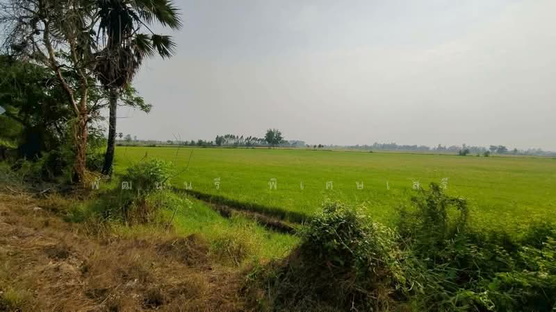 ขายที่ดินเปล่า ต.บ้านดอน อ.อู่ทอง จ.สุพรรณบุรี, สุพรรณบุรี, บ้านดอน, อู่ทอง, สุพรรณบุรี, 73,120 ตร.ม., ที่ดิน ขาย, โดย พัฒน์นรี พิเศษเสรี, 500354937 - DDproperty.com