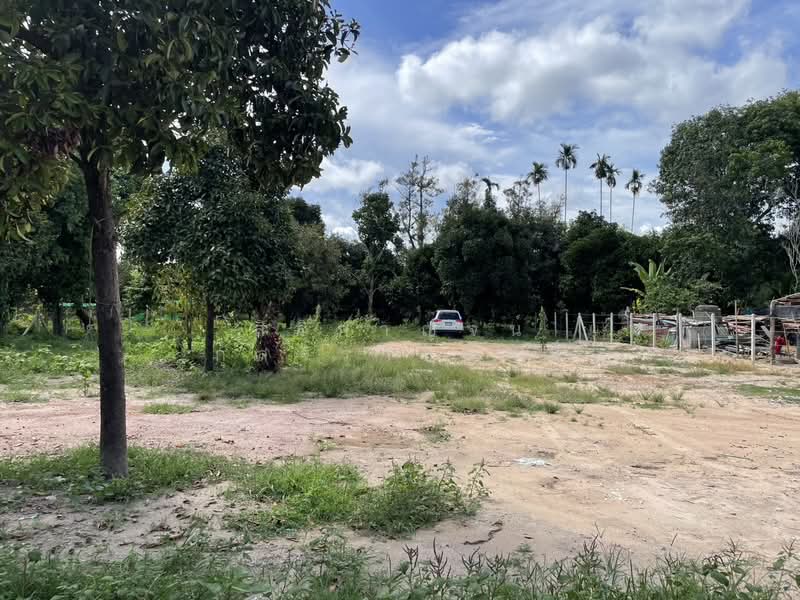 ที่ดินตะพง เมืองระยอง, Rayong, Taphong, Muang Rayong, Rayong, , 1,640 sqm, Land For Sale, by สิริกาญจน์ กุลจิราธีรัตม์, 500354981 - DDproperty.com