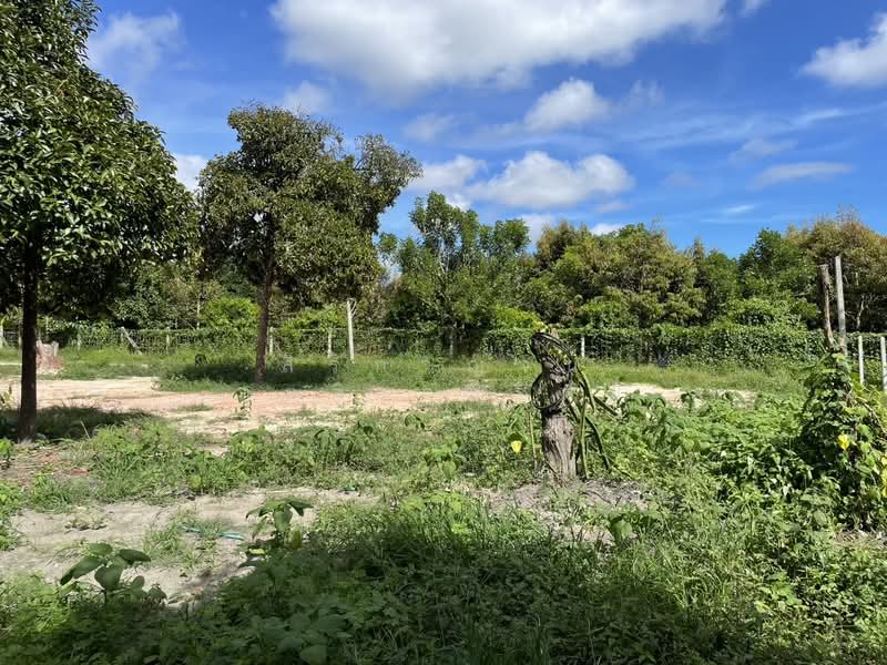 ที่ดินตะพง เมืองระยอง, Rayong, Taphong, Muang Rayong, Rayong, , 1,640 sqm, Land For Sale, by สิริกาญจน์ กุลจิราธีรัตม์, 500354981 - DDproperty.com