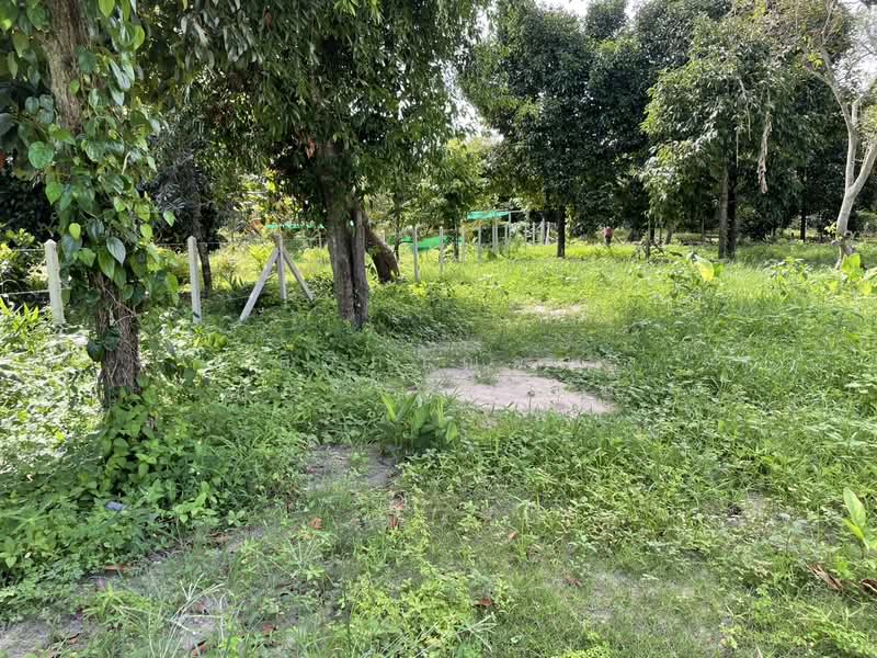 ที่ดินตะพง เมืองระยอง, Rayong, Taphong, Muang Rayong, Rayong, , 1,640 sqm, Land For Sale, by สิริกาญจน์ กุลจิราธีรัตม์, 500354981 - DDproperty.com