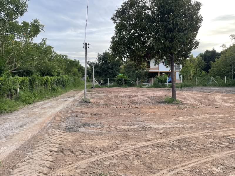 ที่ดินตะพง เมืองระยอง, Rayong, Taphong, Muang Rayong, Rayong, , 1,640 sqm, Land For Sale, by สิริกาญจน์ กุลจิราธีรัตม์, 500354981 - DDproperty.com