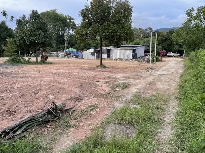 ที่ดินตะพง เมืองระยอง, Rayong, Taphong, Muang Rayong, Rayong, , 1,640 sqm, Land For Sale, by สิริกาญจน์ กุลจิราธีรัตม์, 500354981 - DDproperty.com