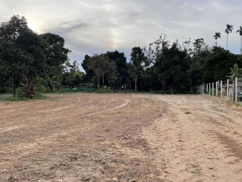 ที่ดินตะพง เมืองระยอง, Rayong, Taphong, Muang Rayong, Rayong, , 1,640 sqm, Land For Sale, by สิริกาญจน์ กุลจิราธีรัตม์, 500354981 - DDproperty.com