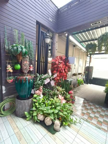 อาคารพาณิชย์ 4 ชั้น ถนนพัฒนาชนบท4 ตำบลคลองสองต้นนุ่น อำเภอลาดกระบัง, กรุงเทพ, รามคำแหง106, สะพานสูง, กรุงเทพ, 160 ตร.ม., ทาวน์เฮ้าส์ ขาย, โดย นภัสศรณ์ วงศ์สินไทยกร (นันท์), 500355005 - DDproperty.com