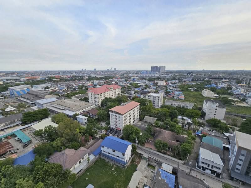 Supalai Veranda Sukhumvit 117 : ศุภาลัย เวอเรนด้า สุขุมวิท 117, สมุทรปราการ, ถ. สุขุมวิท 117, บางเมืองใหม่, เมืองสมุทรปราการ, สมุทรปราการ, 29 ตร.ม., คอนโด ให้เช่า, โดย นัทยาพร พึ่มกุล (เบนซ์), 500355021 - DDproperty.com