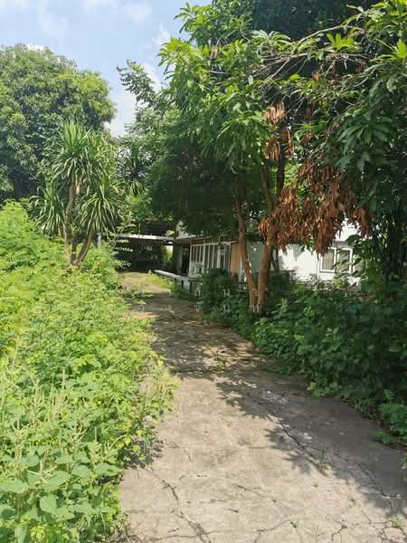 Prime Land for Sale Lat Phrao 15 Ratchadaphisek 399 sqw 120MB Near MRT, Bangkok, Lat Phrao, Bangkok, , 1,596 sqm, Land For Sale, by วาสนา ดวงจันทร์, 500355063 - DDproperty.com