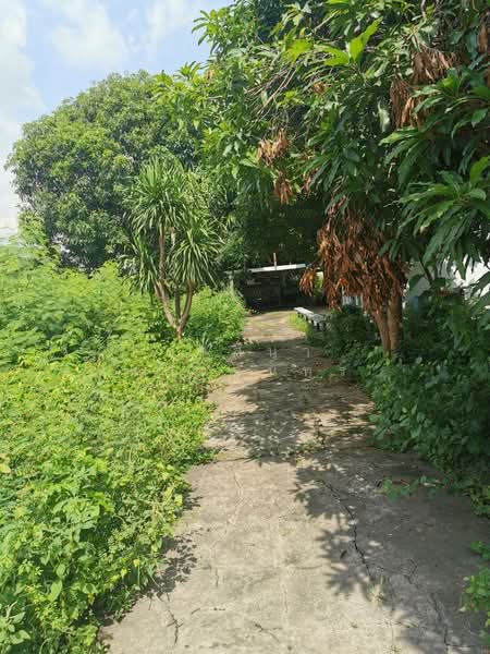 Prime Land for Sale Lat Phrao 15 Ratchadaphisek 399 sqw 120MB Near MRT, Bangkok, Lat Phrao, Bangkok, , 1,596 sqm, Land For Sale, by วาสนา ดวงจันทร์, 500355063 - DDproperty.com