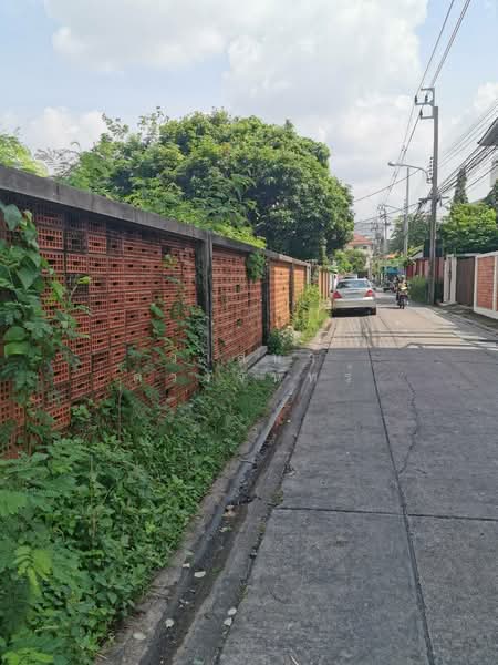 ขายที่ดินทำเลทอง ซอยลาดพร้าว 15 ทะลุรัชดาภิเษก 399 ตรว ใกล้ MRT และศาลอาญา, กรุงเทพ, ลาดพร้าว, กรุงเทพ, 1,596 ตร.ม., ที่ดิน ขาย, โดย วาสนา ดวงจันทร์, 500355063 - DDproperty.com