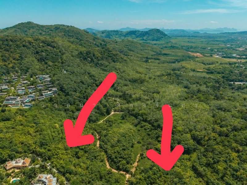 ขายที่ดินภูเก็ต โซนลายัน ใกล้หาดบางเทา 8 ไร่ ทำเลสวยมาก เหมาะสร้างพูลวิลล่า, ภูเก็ต, เชิงทะเล, ถลาง, ภูเก็ต, 12,800 ตร.ม., ที่ดิน ขาย, โดย วาสนา ดวงจันทร์, 500355089 - DDproperty.com