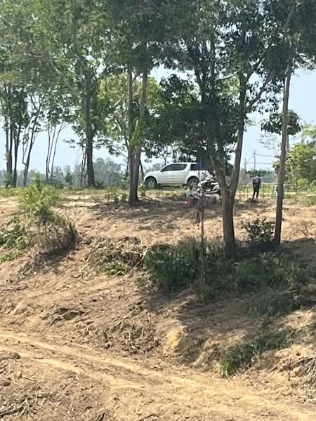 Prime Land for Sale in Layan Phuket 8 Rai Near Bang Tao Beach Ideal for Pool Villas, Phuket, Choeng Thale, Thalang, Phuket, , 12,800 sqm, Land For Sale, by วาสนา ดวงจันทร์, 500355089 - DDproperty.com