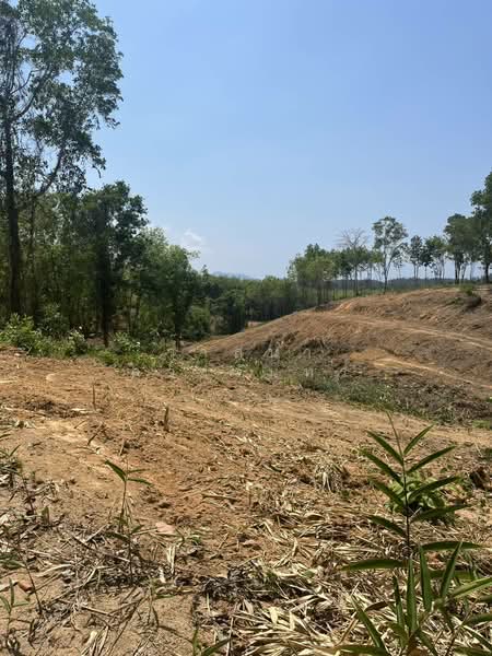 Prime Land for Sale in Layan Phuket 8 Rai Near Bang Tao Beach Ideal for Pool Villas, Phuket, Choeng Thale, Thalang, Phuket, , 12,800 sqm, Land For Sale, by วาสนา ดวงจันทร์, 500355089 - DDproperty.com