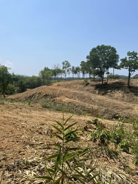 Prime Land for Sale in Layan Phuket 8 Rai Near Bang Tao Beach Ideal for Pool Villas, Phuket, Choeng Thale, Thalang, Phuket, , 12,800 sqm, Land For Sale, by วาสนา ดวงจันทร์, 500355089 - DDproperty.com