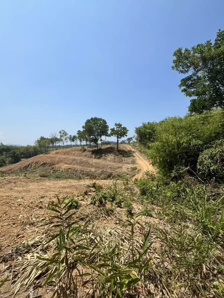 Prime Land for Sale in Layan Phuket 8 Rai Near Bang Tao Beach Ideal for Pool Villas, Phuket, Choeng Thale, Thalang, Phuket, , 12,800 sqm, Land For Sale, by วาสนา ดวงจันทร์, 500355089 - DDproperty.com