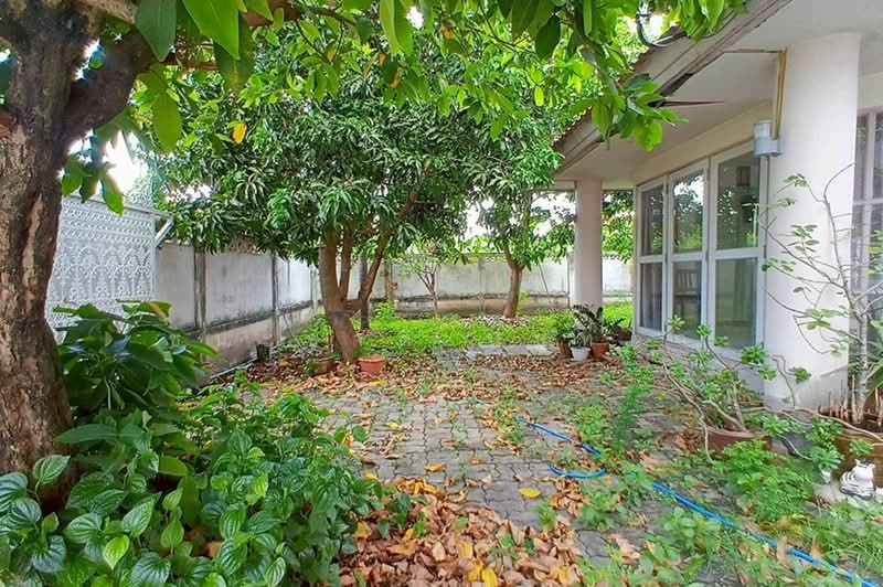 Flora Ville Park City Suwinthawong, Bangkok, Suwinthawong Road, Lam Phak Chi, Nong Chok, Bangkok, 5 Bedrooms, 230 sqm, Single Detached House For Sale, by ชนะชาติ นนท์ตา, 500355101 - DDproperty.com