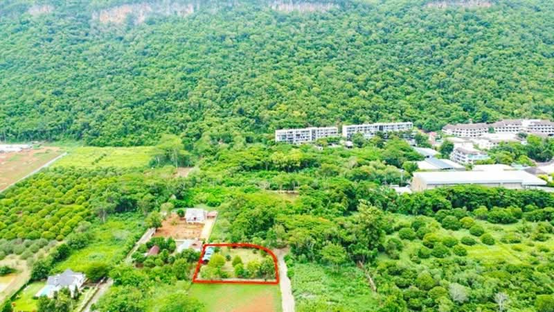 ไม่พบโครงการ, Nakhon Ratchasima, ถ.ธนะรัชต์ กม.12-20, Mu Si, Pak Chong, Nakhon Ratchasima, 3 Bedrooms, 1,000 sqm, Single Detached House For Rent, by ณัฐพงศ์ สุนทรอรุณ, 500355146 - DDproperty.com