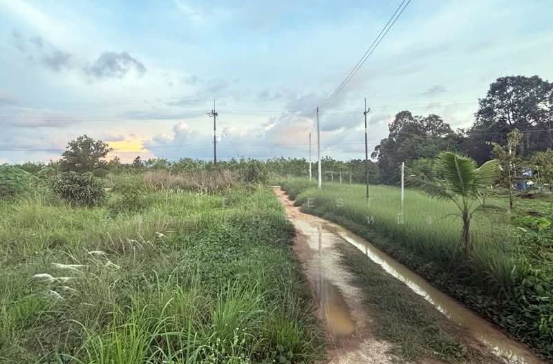 ที่ดินมะขาม จันทบุรี, จันทบุรี, ท่าหลวง, มะขาม, จันทบุรี, 592 ตร.ม., ที่ดิน ขาย, โดย The Best Property หนึ่ง, 500355185 - DDproperty.com