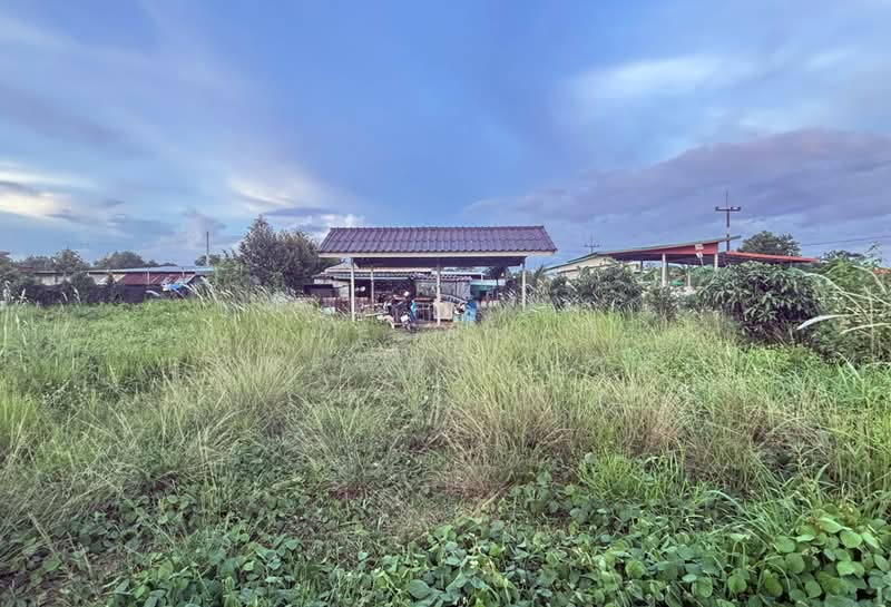 ที่ดินมะขาม จันทบุรี, จันทบุรี, ท่าหลวง, มะขาม, จันทบุรี, 592 ตร.ม., ที่ดิน ขาย, โดย The Best Property หนึ่ง, 500355185 - DDproperty.com