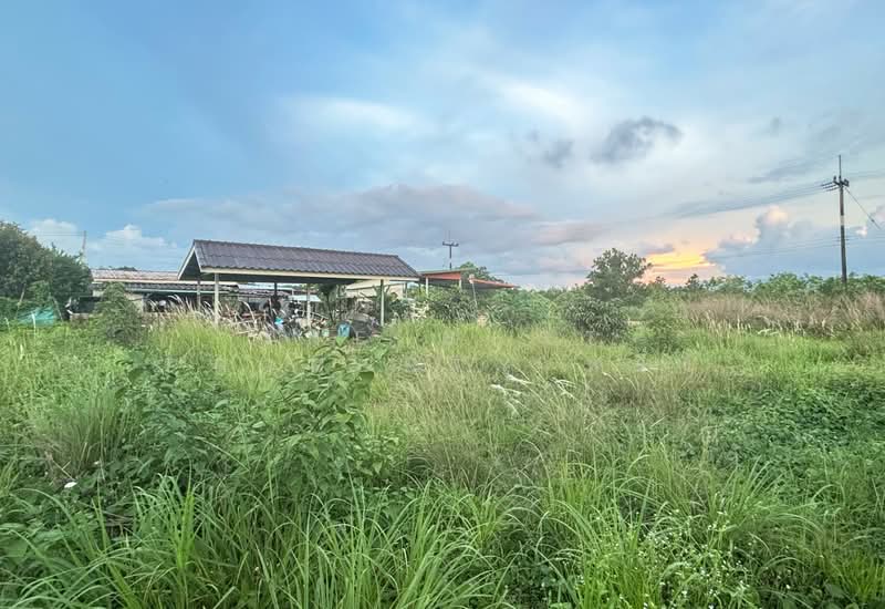 ที่ดินมะขาม จันทบุรี, Chanthaburi, Tha Luang, Makham, Chanthaburi, , 592 sqm, Land For Sale, by The Best Property หนึ่ง, 500355185 - DDproperty.com