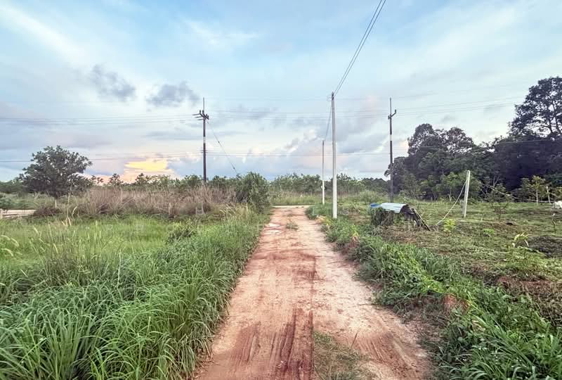 ที่ดินมะขาม จันทบุรี, Chanthaburi, Tha Luang, Makham, Chanthaburi, , 592 sqm, Land For Sale, by The Best Property หนึ่ง, 500355185 - DDproperty.com