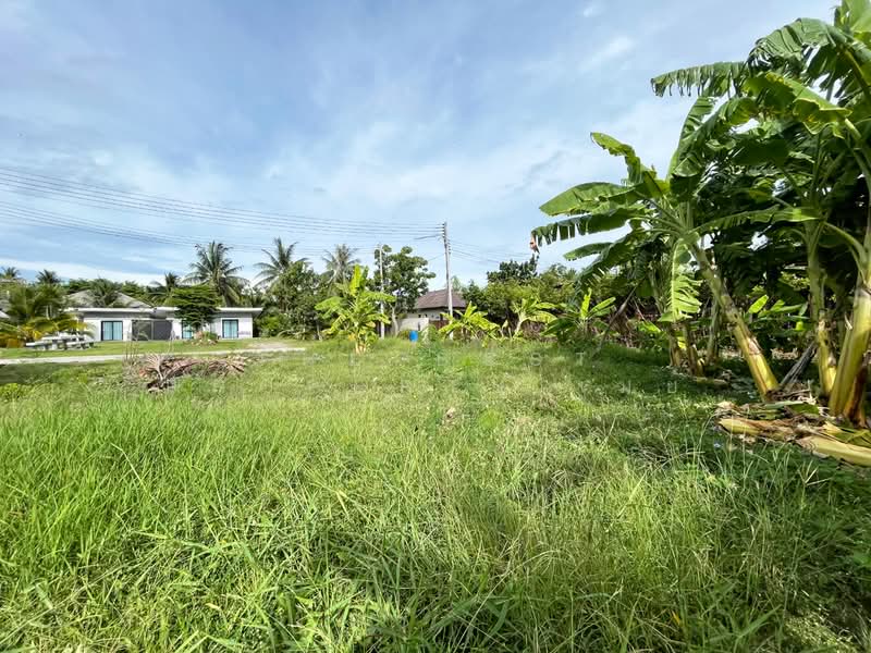 ที่ดินอัมพวา สมุทรสงคราม, Samut Songkhram, Plai Phongphang, Amphawa, Samut Songkhram, , 664 sqm, Land For Sale, by The Best Property เมย์, 500355200 - DDproperty.com