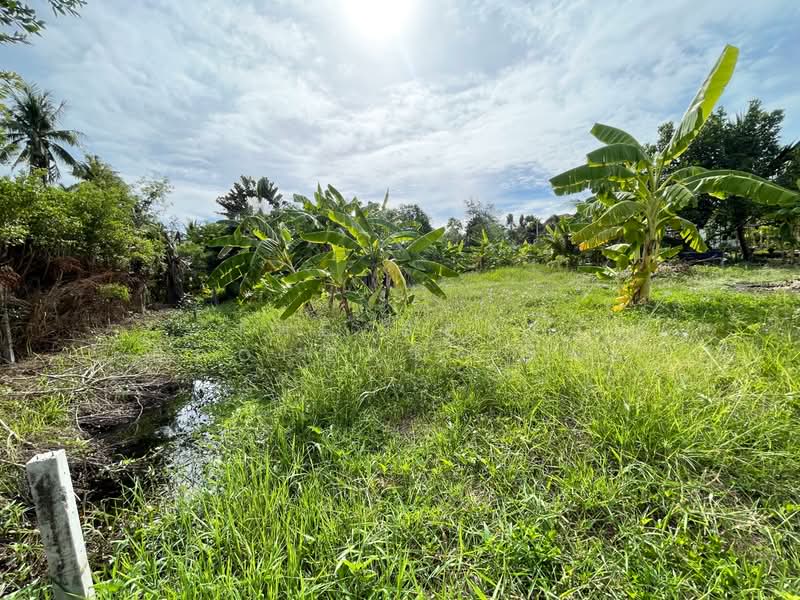 ที่ดินอัมพวา สมุทรสงคราม, Samut Songkhram, Plai Phongphang, Amphawa, Samut Songkhram, , 664 sqm, Land For Sale, by The Best Property เมย์, 500355200 - DDproperty.com