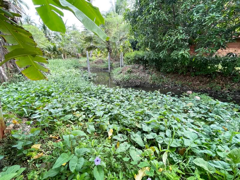 ที่ดินอัมพวา สมุทรสงคราม, Samut Songkhram, Plai Phongphang, Amphawa, Samut Songkhram, , 664 sqm, Land For Sale, by The Best Property เมย์, 500355200 - DDproperty.com