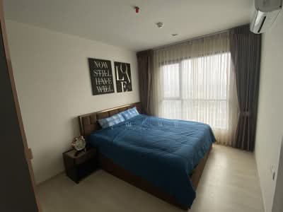 ขาย - Life Sukhumvit 48 : ไลฟ์ สุขุมวิท 48, กรุงเทพ