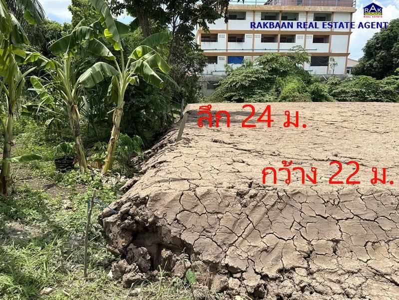 ขายที่ดินซอยจุลินท์จัดสรร 4 บางบัวทอง 131 ตร.ว., นนทบุรี, บางกรวย-ไทรน้อย, บางรักพัฒนา, บางบัวทอง, นนทบุรี, 524 ตร.ม., ที่ดิน ขาย, โดย อภิชัย ลิ้มไชยโรจน์, 500355213 - DDproperty.com
